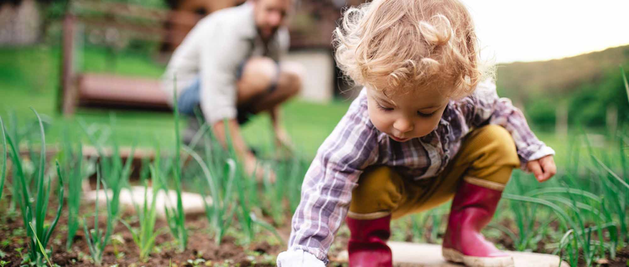 Toddler playing in garden