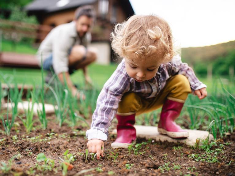 Toddler in garden planting with Dad